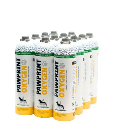 Bouteilles d’oxygène de 15 litres pour recharge – Pawprint