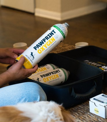 Bouteilles d’oxygène de 15 litres pour recharge – Pawprint