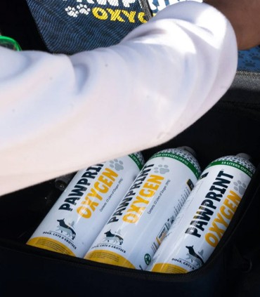 Bouteilles d’oxygène de 15 litres pour recharge – Pawprint