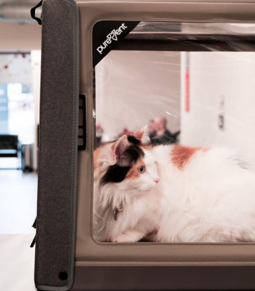 PureVent Sauerstofftherapie-Box für die Veterinärmedizin M 0-14 kg – PawPrint