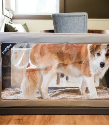 Kammer für Veterinärsauerstofftherapie PureVent L 14-30 kg – PawPrint