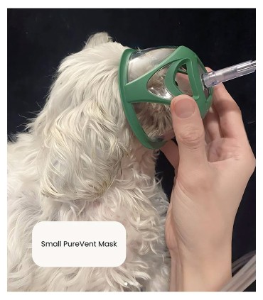 Kit Starter d’oxygène portable pour chiens jusqu’à 10 kg – PawPrint