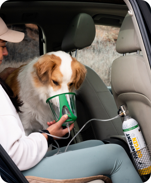 Notfallsauerstoff für Tiere